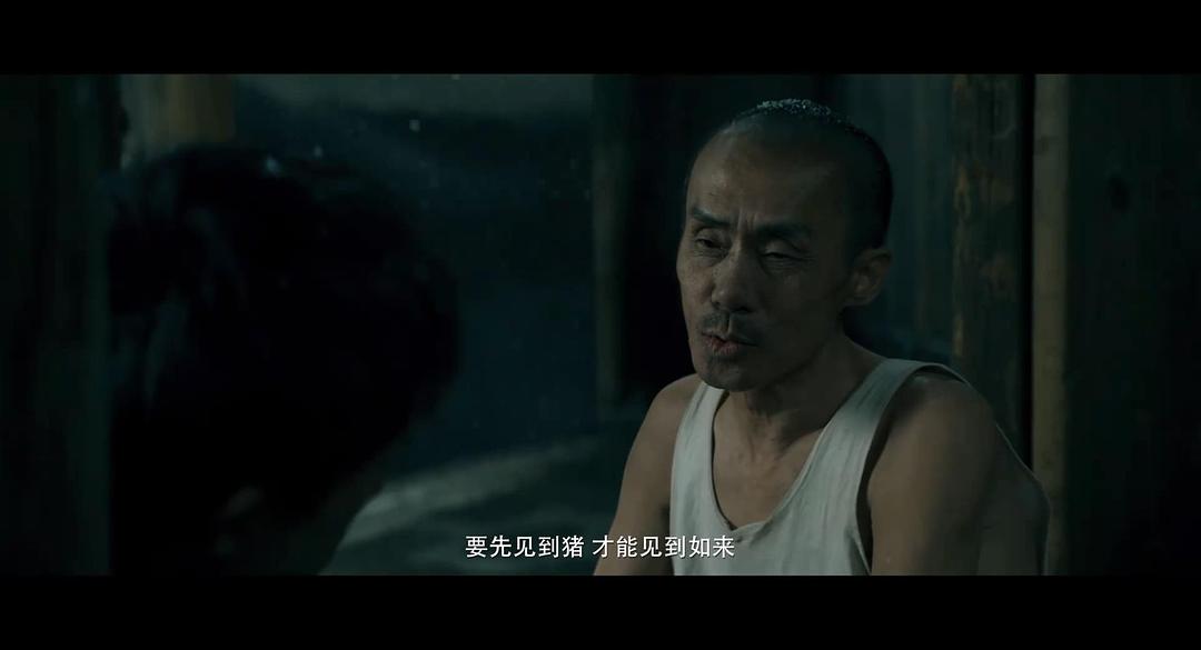 狂野时代 4K国语中字